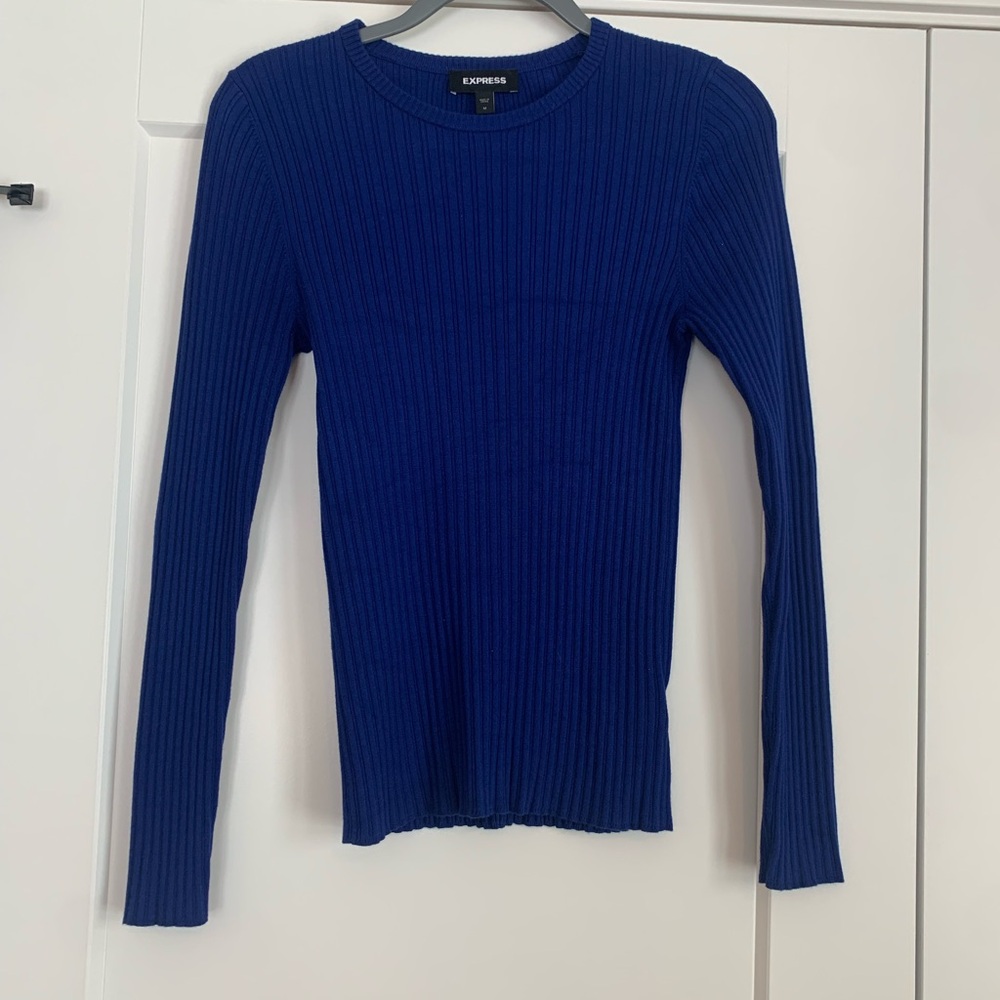 Express Ribbed Fitted Sweater